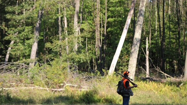 Does Shed Hunting Help with Hunting?