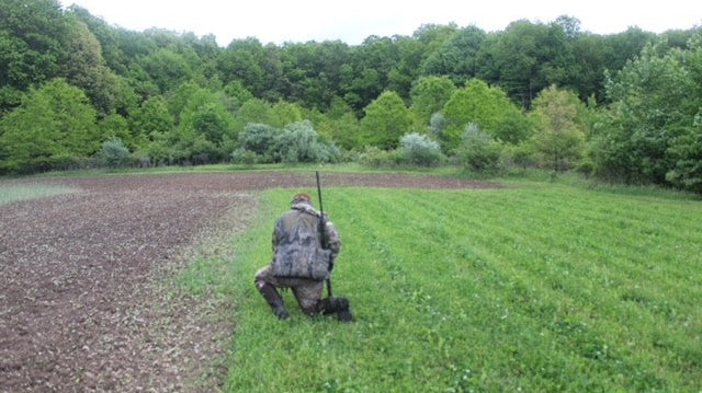 Top 10 Tips for Turkey Hunting