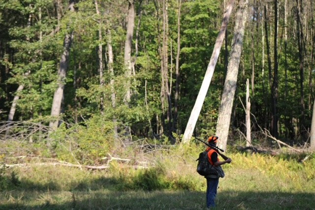 Does Shed Hunting Help with Hunting?