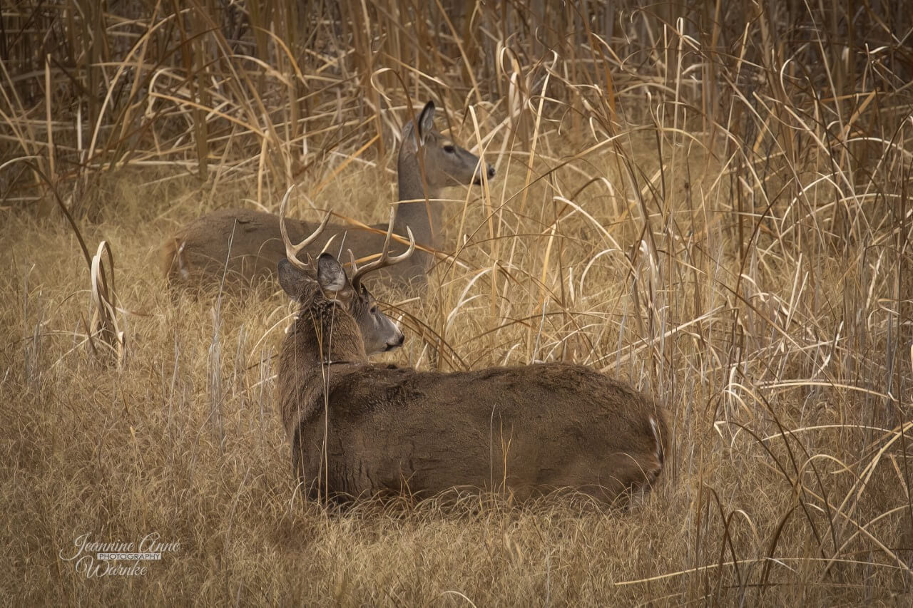 My Intro to Hunting-A "NEW VIEW" on hunting