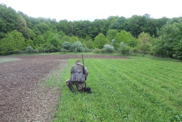 The Death of Hunting
